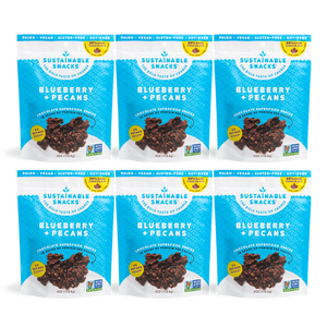 Six Sustainable Snacks Blueberry and Pecans chocolate superfood snack 4oz bags